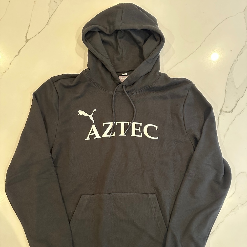 Puma Team Goal Hoodie